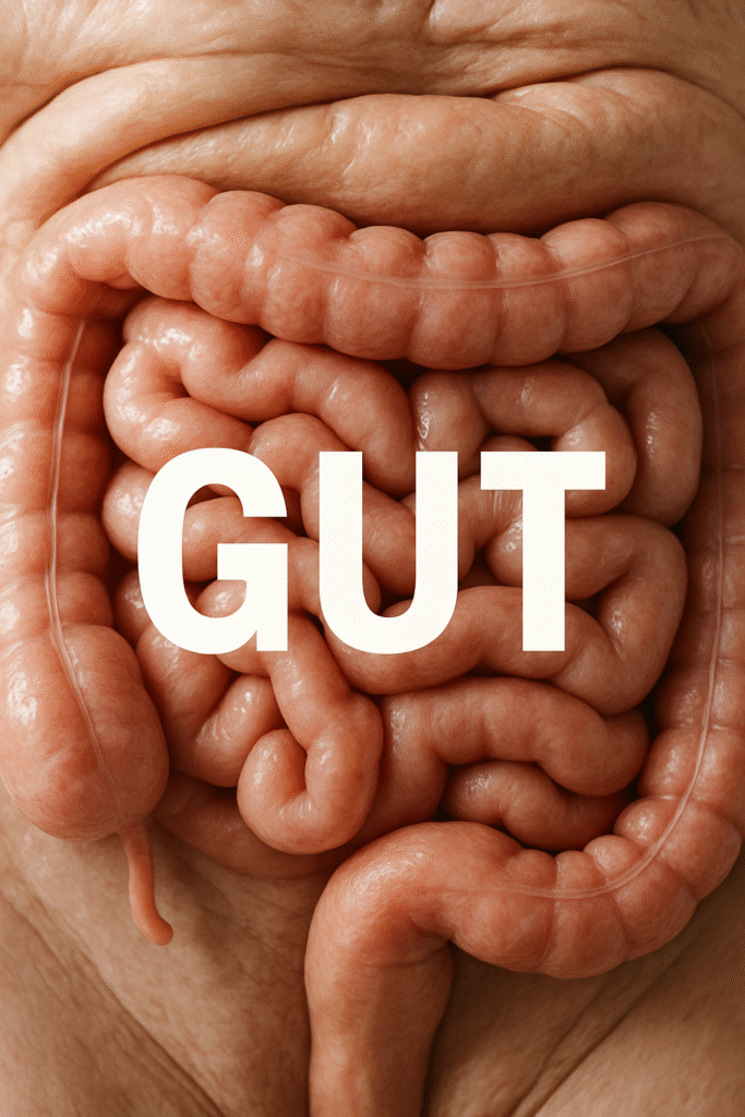 Gut Goals: Transform Your Health with Gut Health and Probiotics