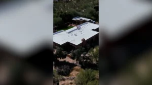 Pima County Sheriff's Department Finally Rules Out Nancy Guthrie Remains